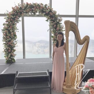 Harp Performance